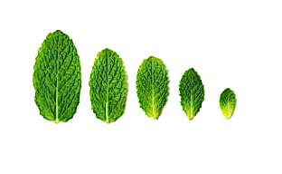 Удаление неприятных запахов